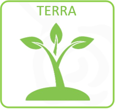 TERRA TERRA